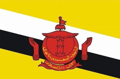 Cờ Brunei