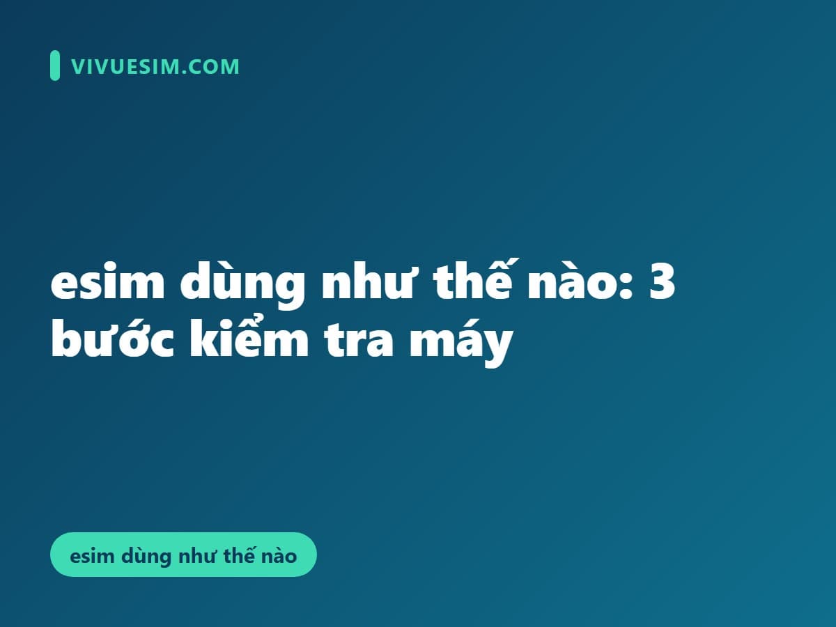 esim dùng như thế nào: 3 bước kiểm tra máy