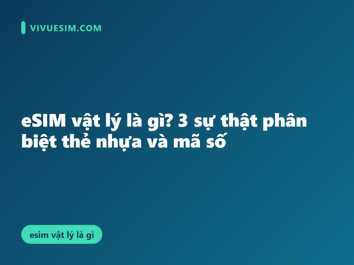 eSIM vật lý là gì? 3 sự thật phân biệt thẻ nhựa và mã số