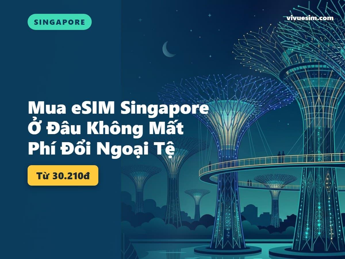 Mua eSIM Singapore Ở Đâu Không Mất Phí Đổi Ngoại Tệ